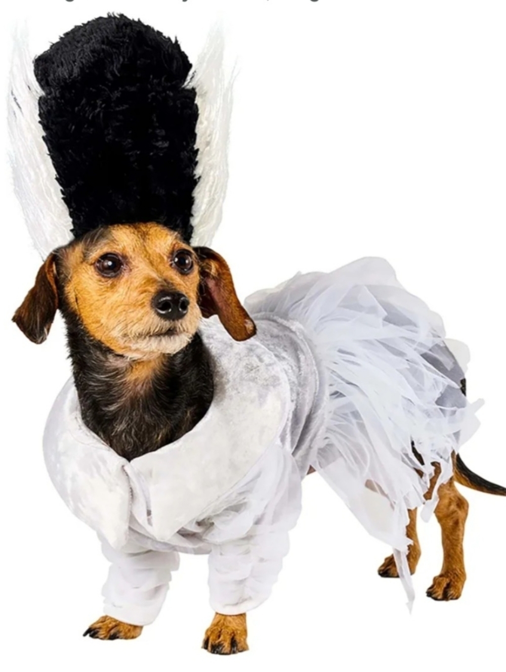 New Large Universal Monsters: Bride Of Frankenstein Pet Costume for Dogs